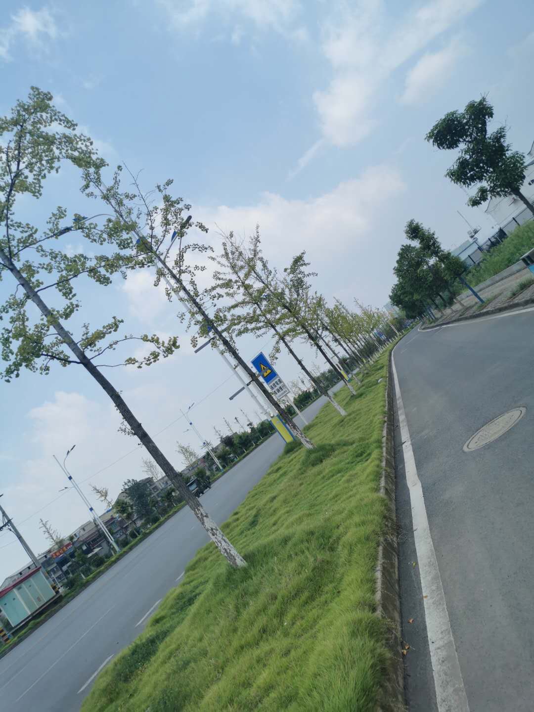 羅家橋綠化-01